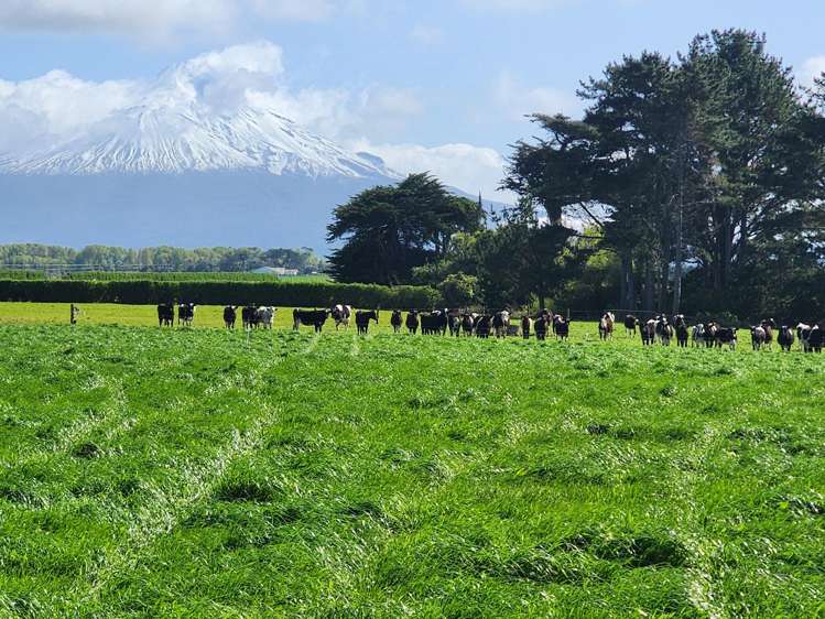 Ahipaipa Road Okaiawa_0