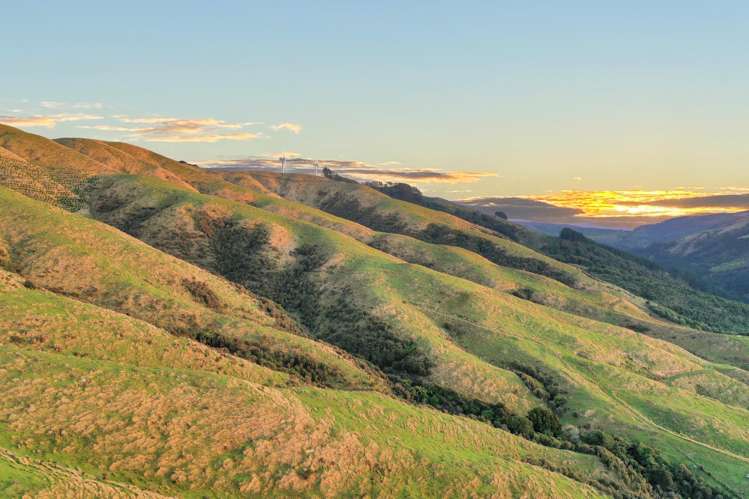 68a Greens Road Linton_10