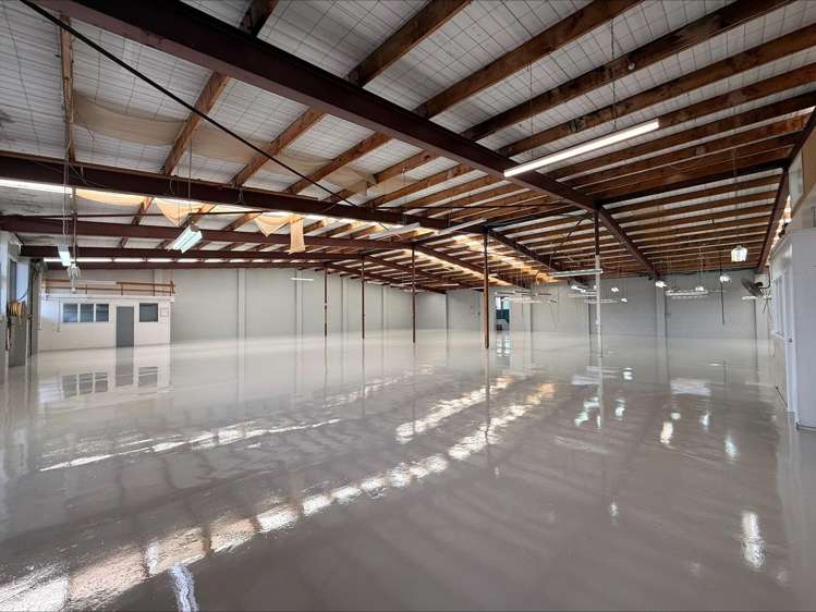 367 Rosebank Road Avondale_7