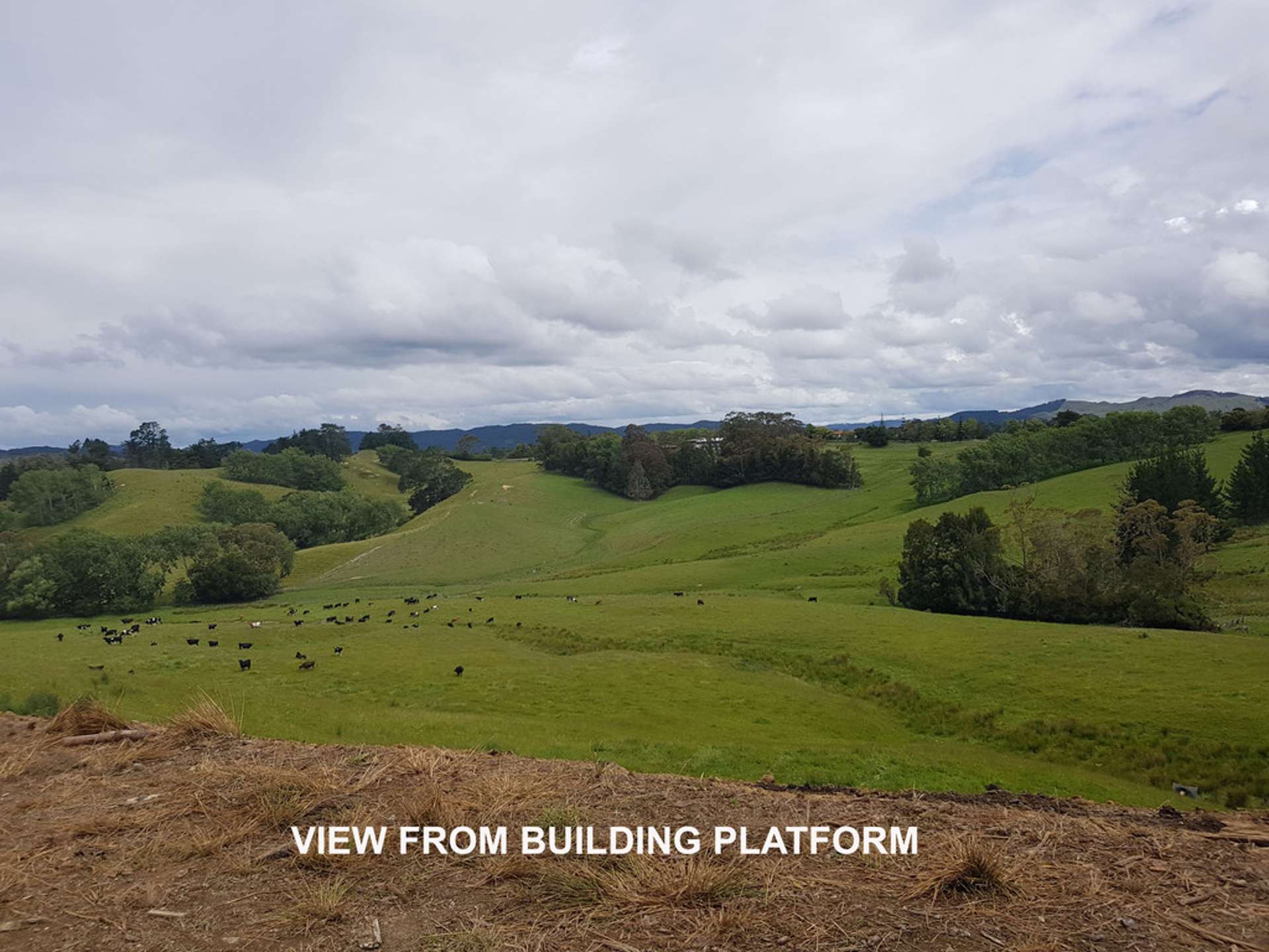 1241 Whangaripo Valley Road Whangaripo_0