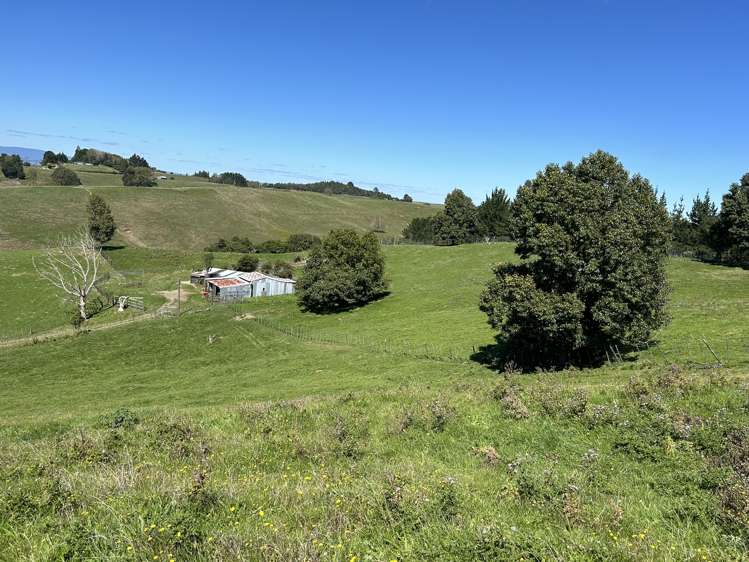 481 Honikiwi Road Otorohanga_27