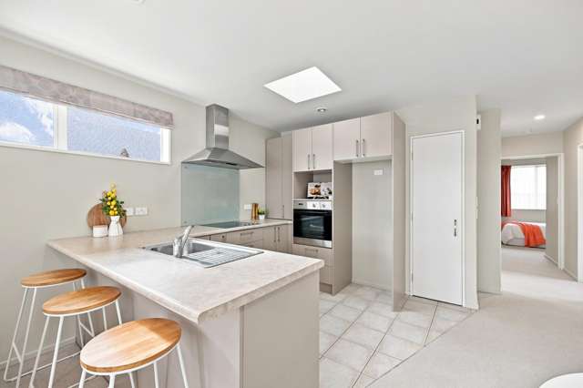 212A Racecourse Road Sockburn_3