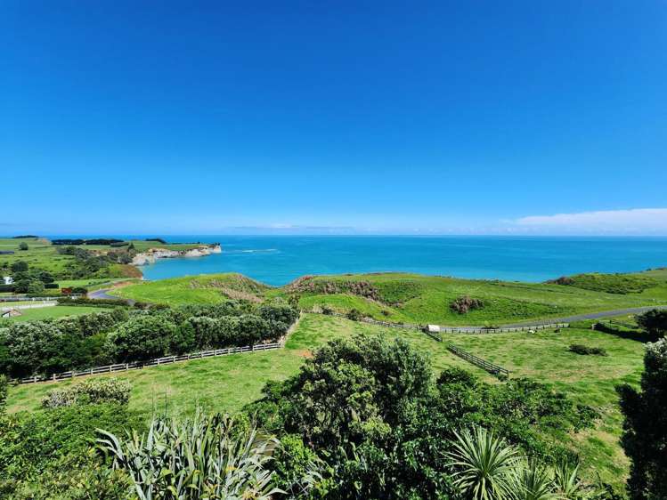 2/8 White Cliff Bay Urenui_19