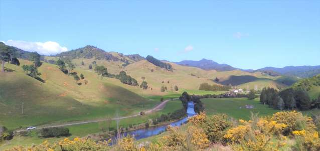 270 Kaimarama Road Kaimarama_4