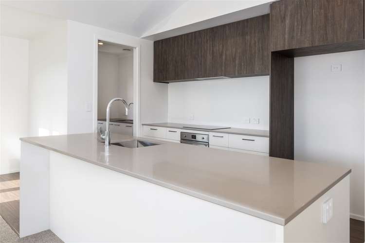 31 Nikau Drive Redwoodtown_8