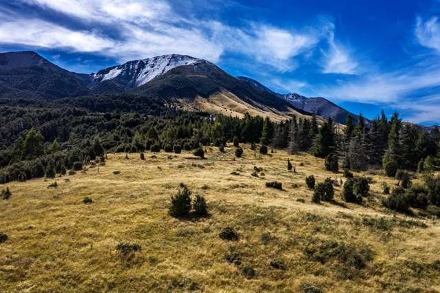 Enchanting Slice of New Zealand!