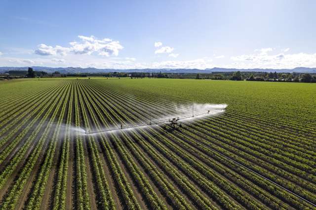 Willows Road Matawhero_2
