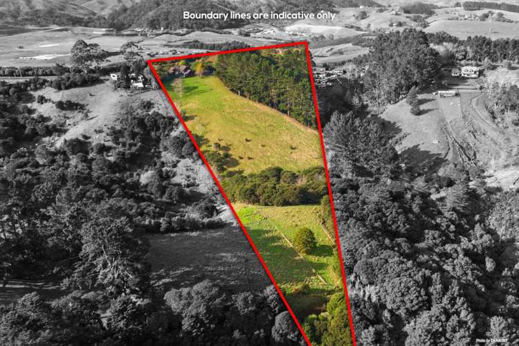 212 Ara-Kotinga Whitford_37