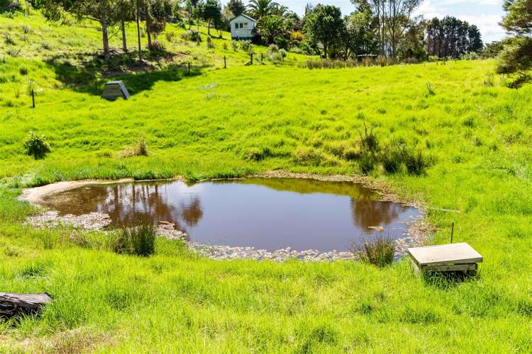 440 Glenmohr Road Waipu_18