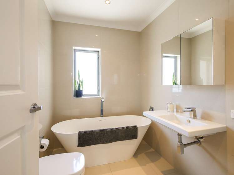 227a Forbury Road Saint Clair_13