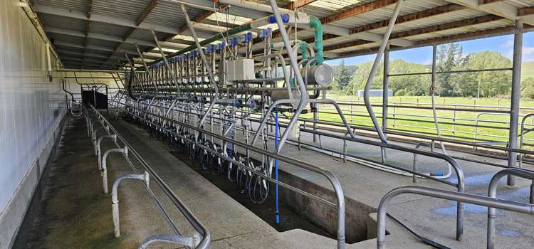 236 Walker Road Lumsden Surrounds_7