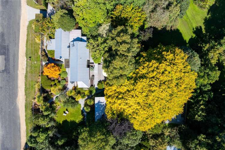 33 Dame Street Waikouaiti_15