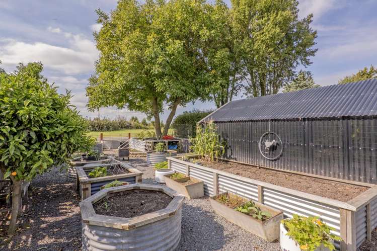 4 Rakaia Terrace Rakaia_36