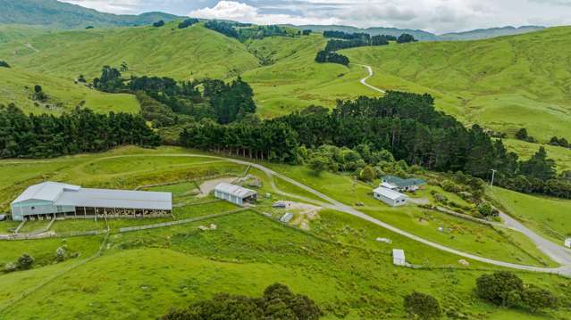 Ruawai - 352 ha