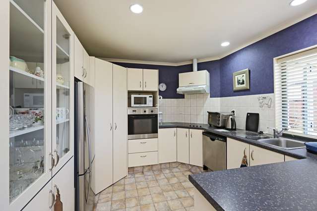 261 Guppy Road Taradale_4