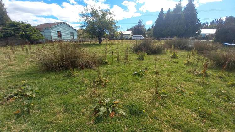 15 Ettrick Street Nightcaps_5