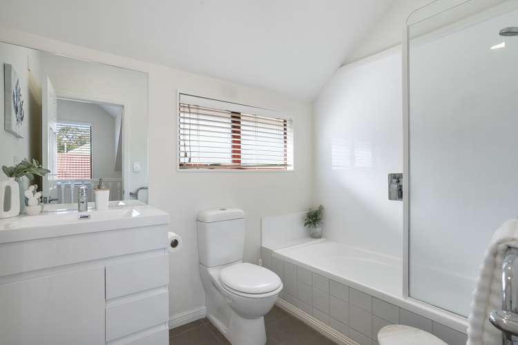 22a Dexter Avenue Mount Eden_20