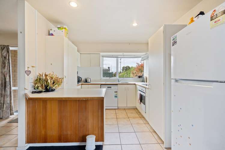 194b Carters Road Amberley_4