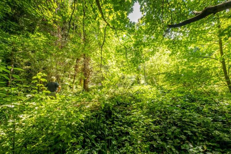 51 Jollies Pass Road Hanmer Springs_26