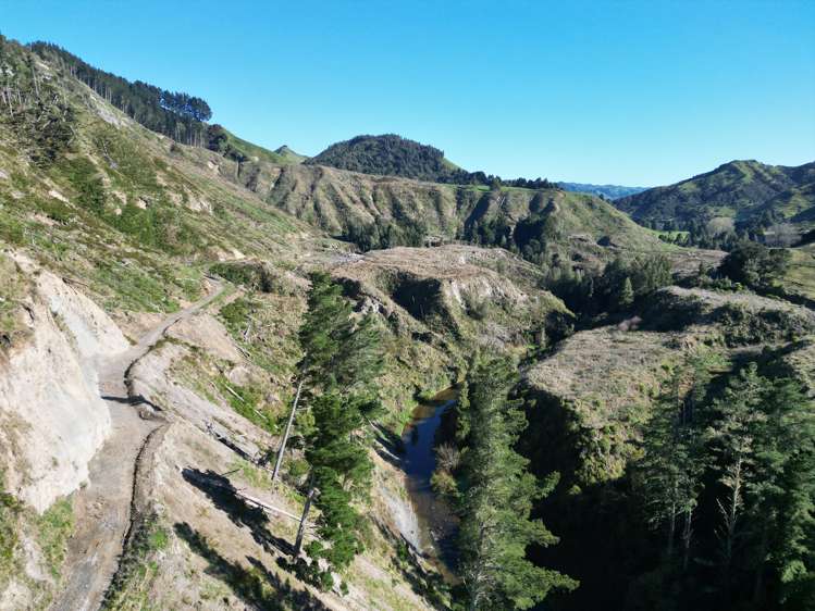 Cnr Whanganui River Road and Otunui South Road Taumarunui_8