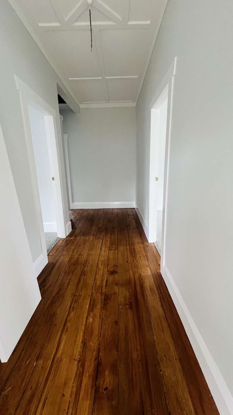 1295 Rings Road Coromandel_10