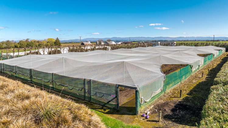 16 Arowhenua Station Road Kerrytown_78