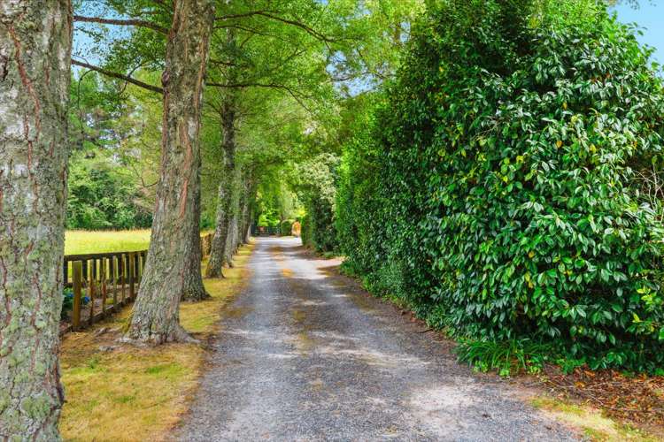 617 River Road Broadlands Forest_19