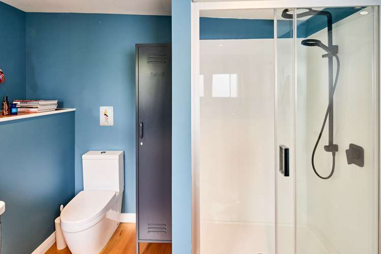 22 Mount Pleasant Road Aro Valley_10