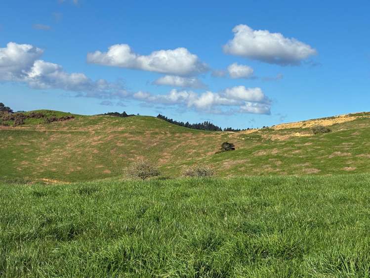 643 Whareora Road Whareora_13