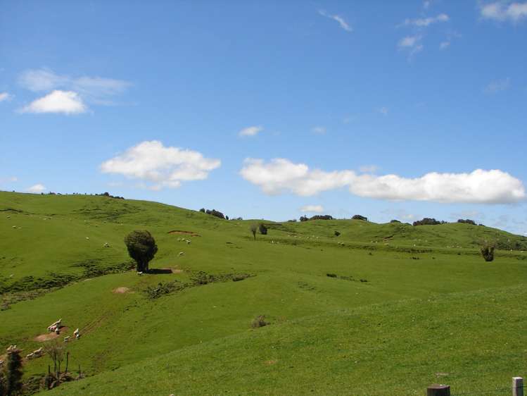 Mahoe Road Waitomo_9