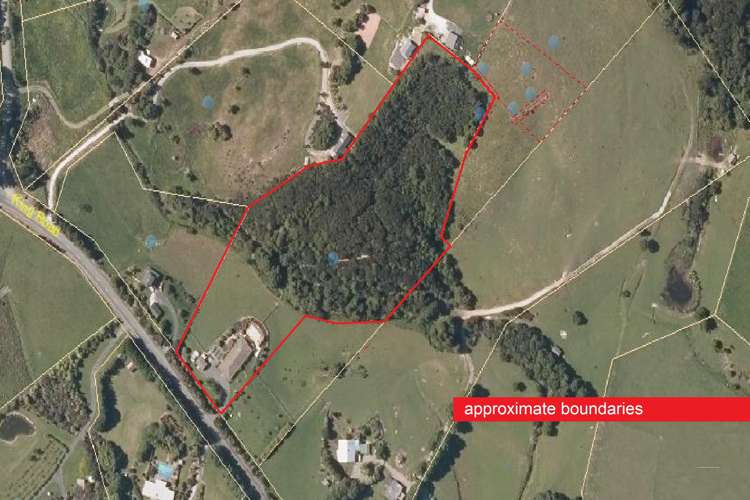 116 King Road Mangawhai_19