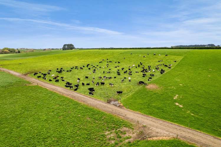 226 Ngarongo Road Normanby_4