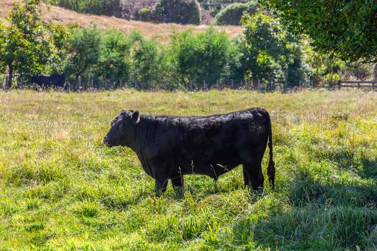 800 Wainui Main Road Wainui_19