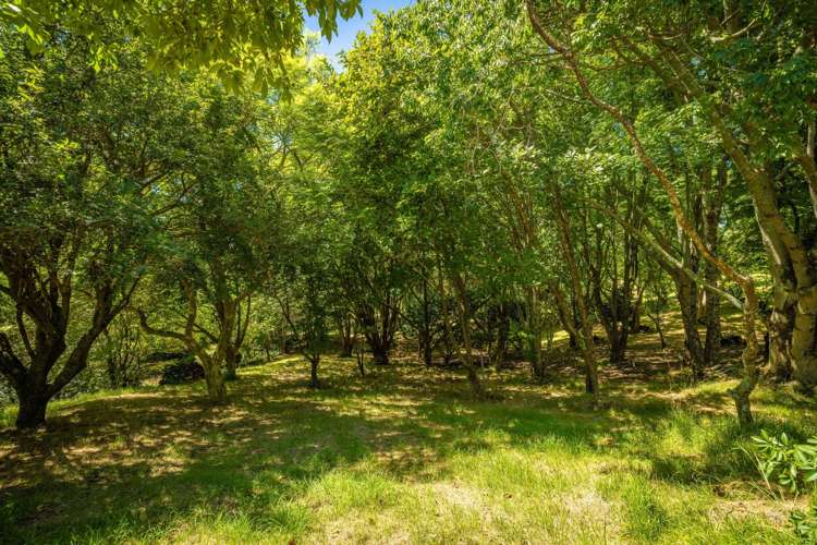 236 Willoughby Road Tahawai_28