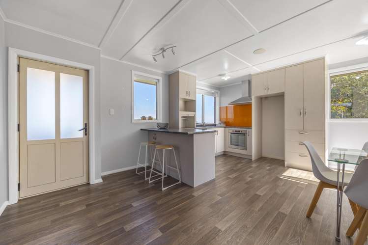 3 Hanlon Street Halfway Bush_10