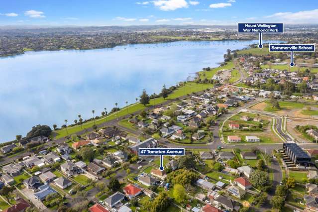 47 Tamatea Avenue Point England_3