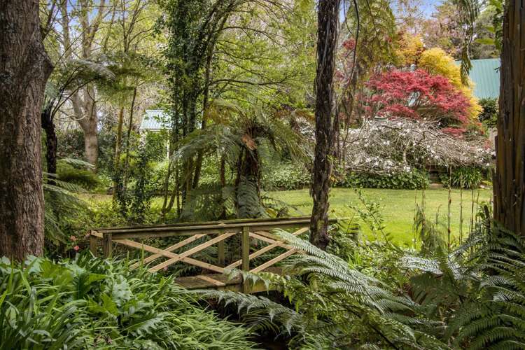 87 Old Waitekauri Road Waikino_1