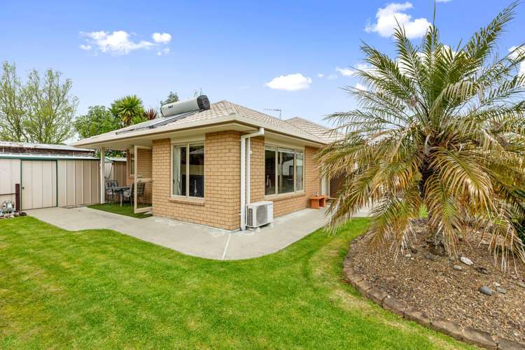 15d Pooles Road Greerton_4