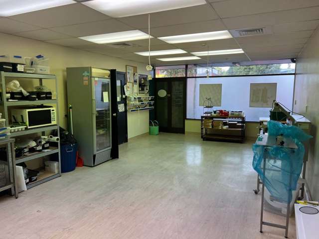 11-19 Sunnyhaven Avenue Beach Haven_4