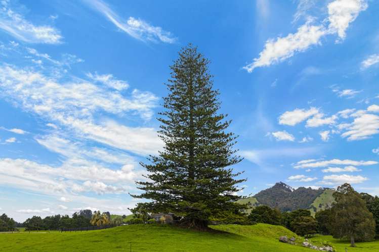 78 Bercich Road Maungakaramea_26