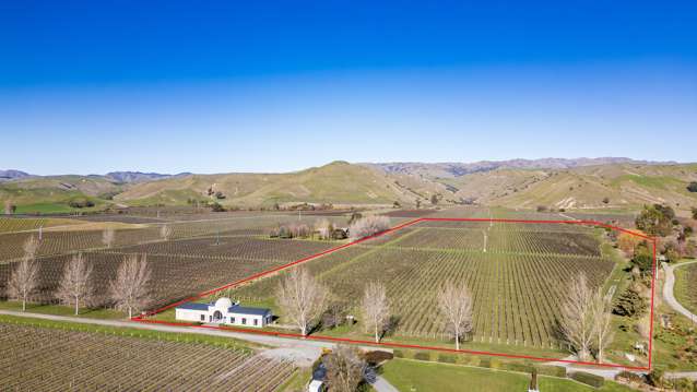 Blank canvas, vineyard to be removed