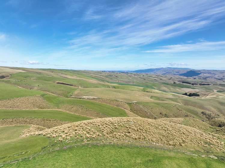 665-901 Tima Burn Road Teviot_28