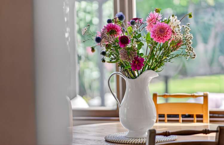 113 Rossall Street Merivale_17