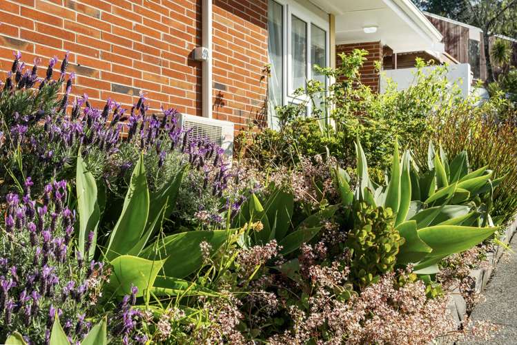 2/36 Gowing Drive Meadowbank_15