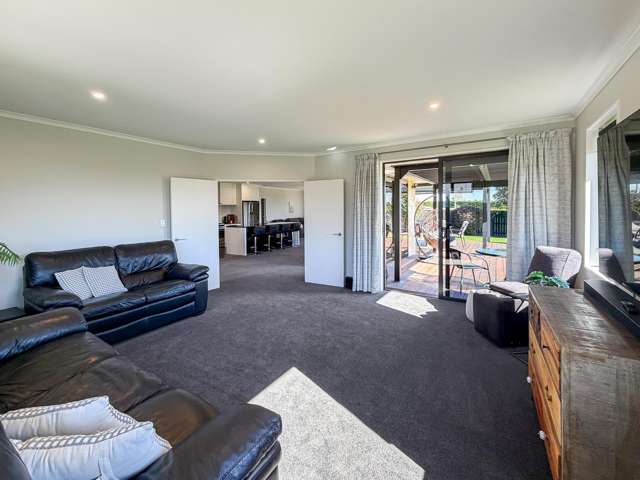 33 Birchwood Avenue Blenheim_4