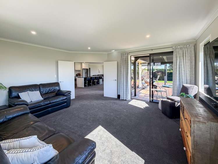 33 Birchwood Avenue Blenheim_4