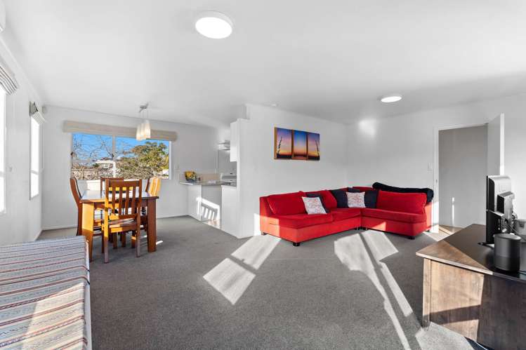 91 Langana Avenue Browns Bay_50