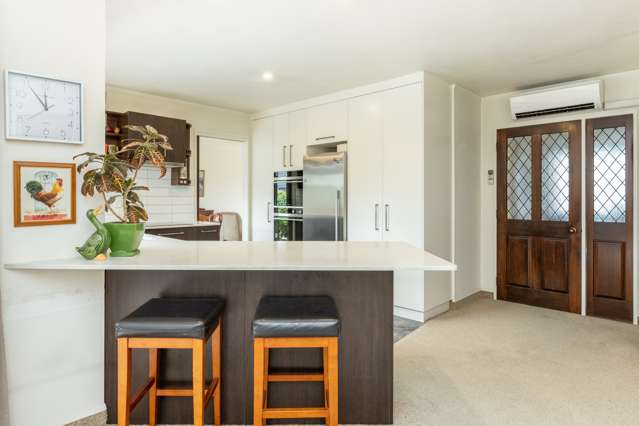 59 Auckland Road Greenmeadows_1