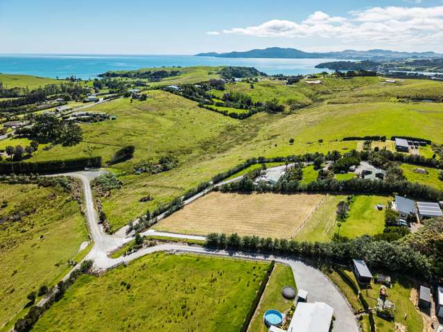 Prime Position, Premium Potential