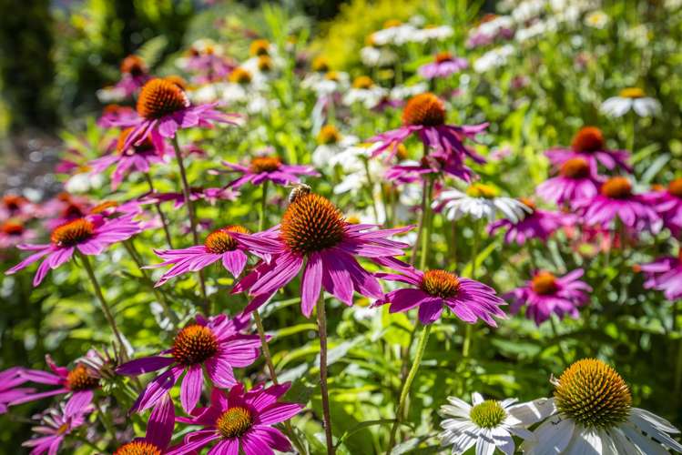 25 Glen Road Raumati South_18